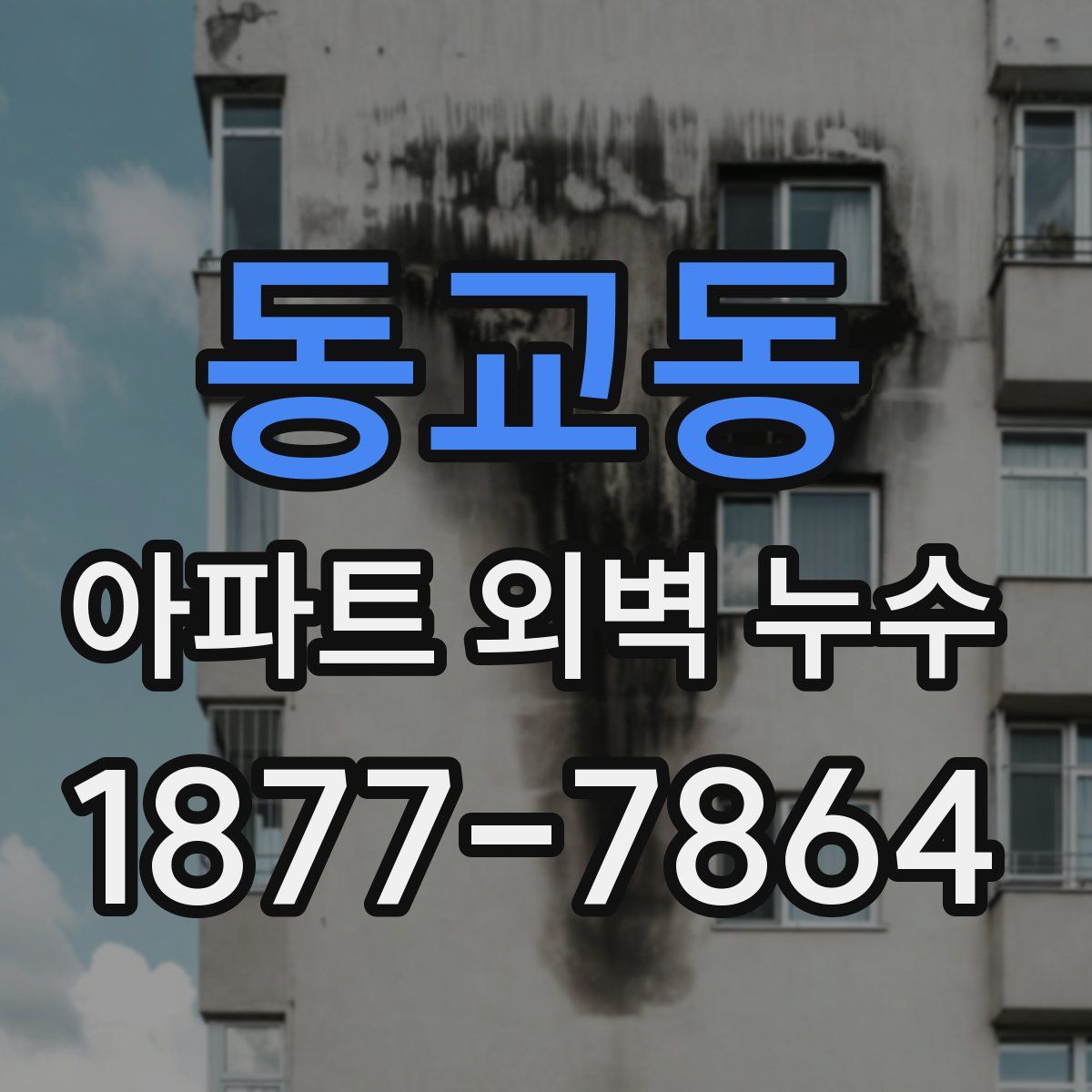 동교동 아파트 외벽 누수