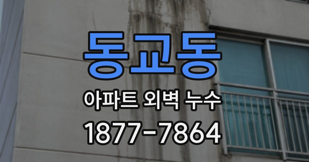동교동 아파트 외벽 누수
