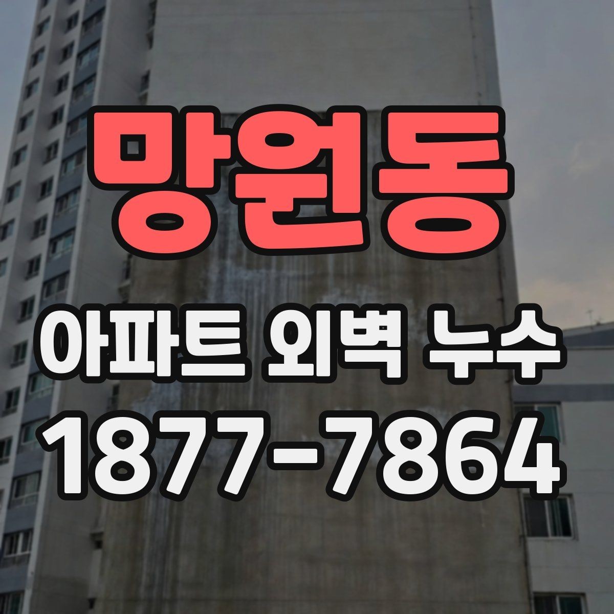 망원동 아파트 외벽 누수 원인과 보수 방법을 한눈에
