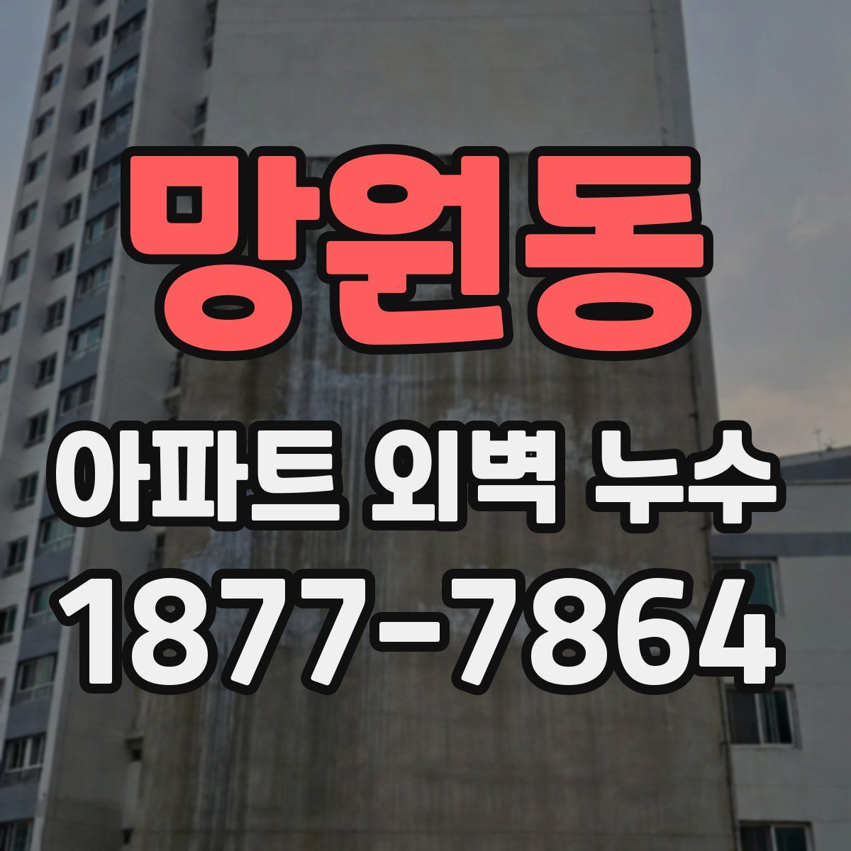 망원동 아파트 외벽 누수