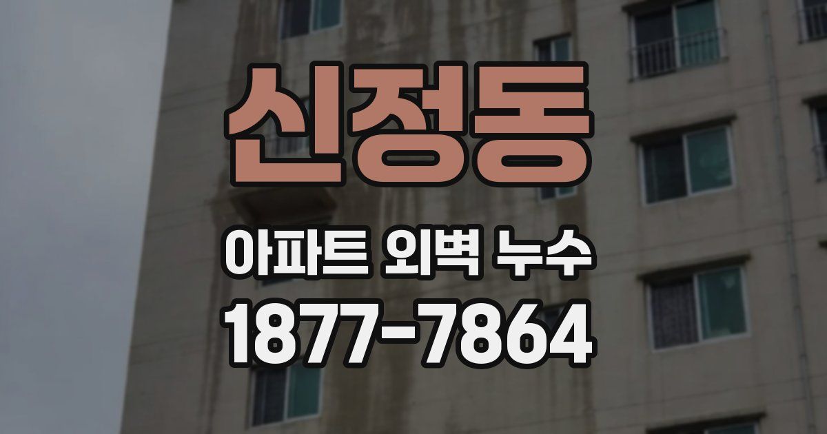신정동 아파트 외벽 누수