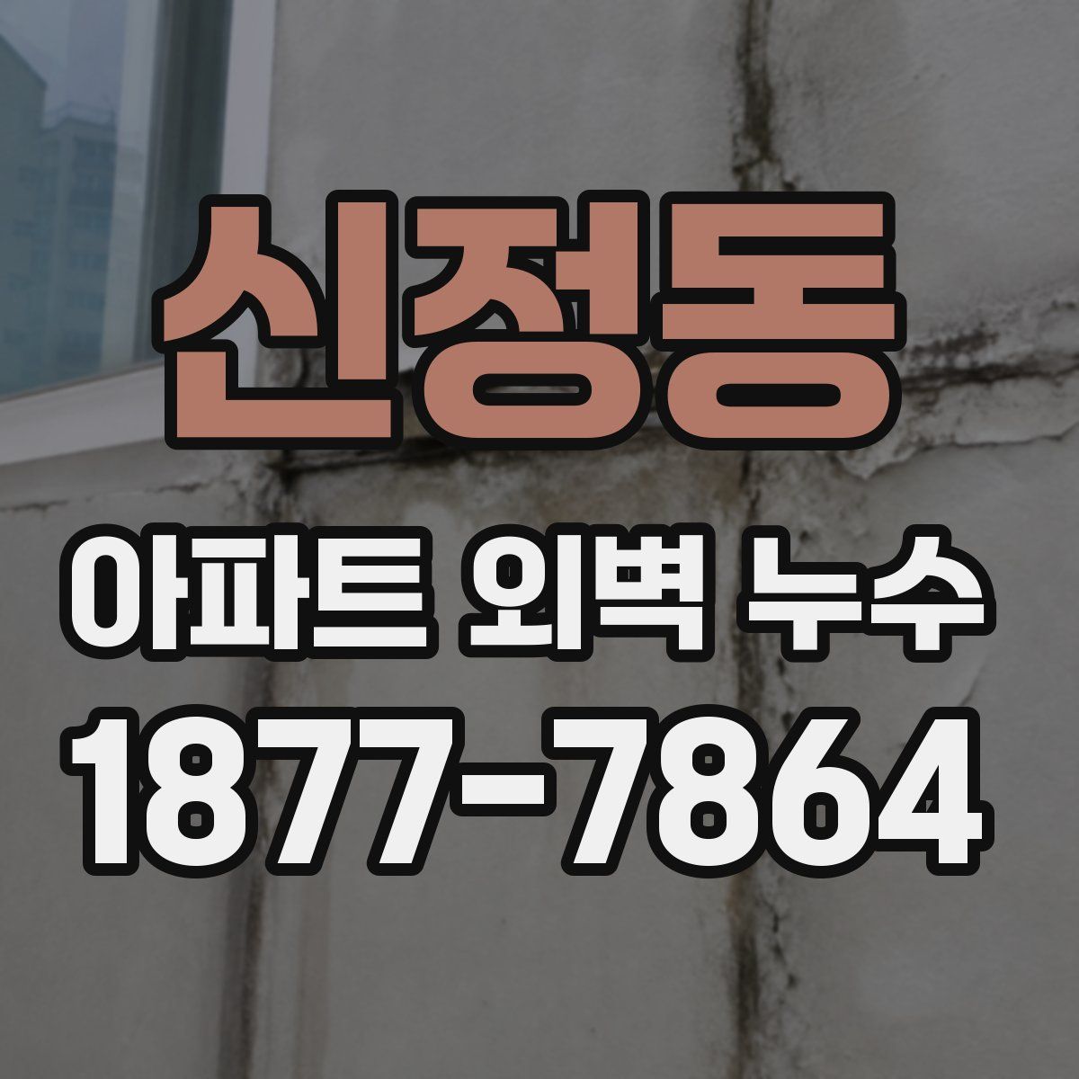 신정동 아파트 외벽 누수
