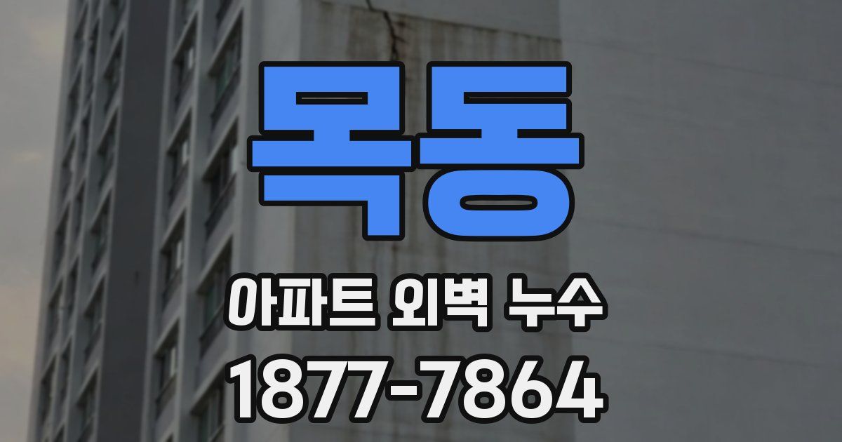 목동 아파트 외벽 누수