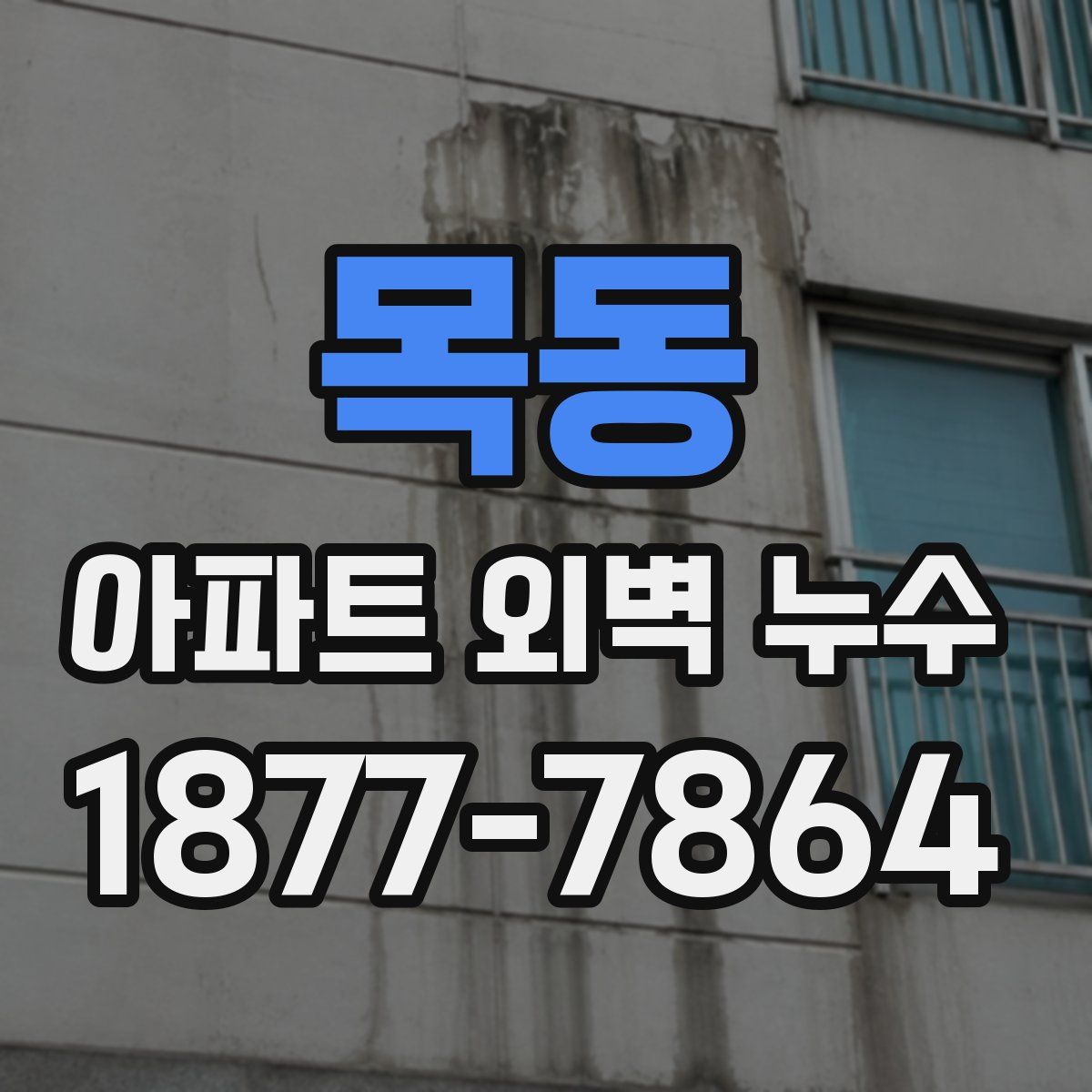 목동 아파트 외벽 누수