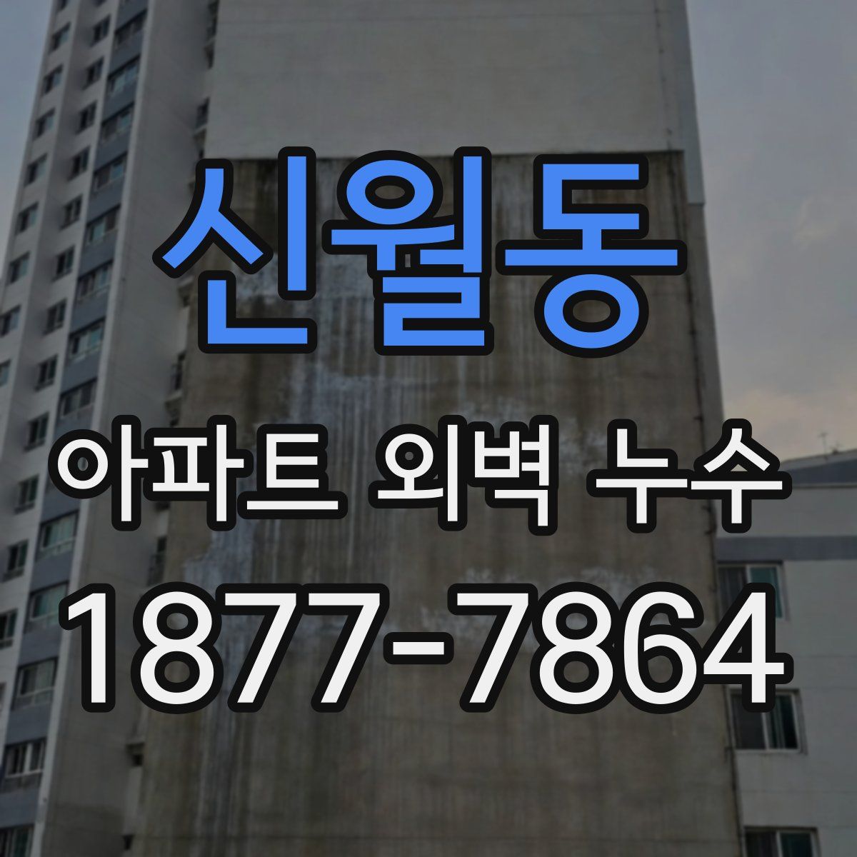 신월동 아파트 외벽 누수