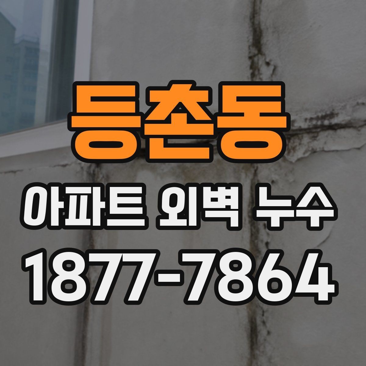 등촌동 아파트 외벽 누수 예방을 위한 관리 방법