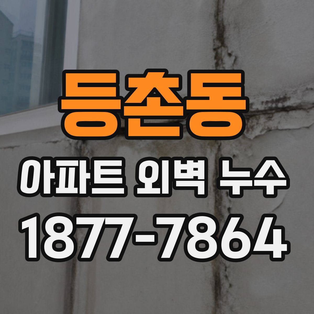 등촌동 아파트 외벽 누수