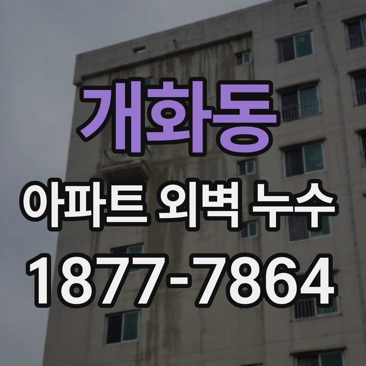개화동 아파트 외벽 누수