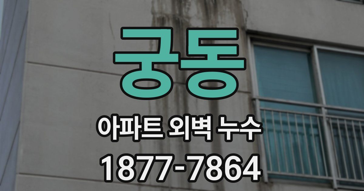 궁동 아파트 외벽 누수