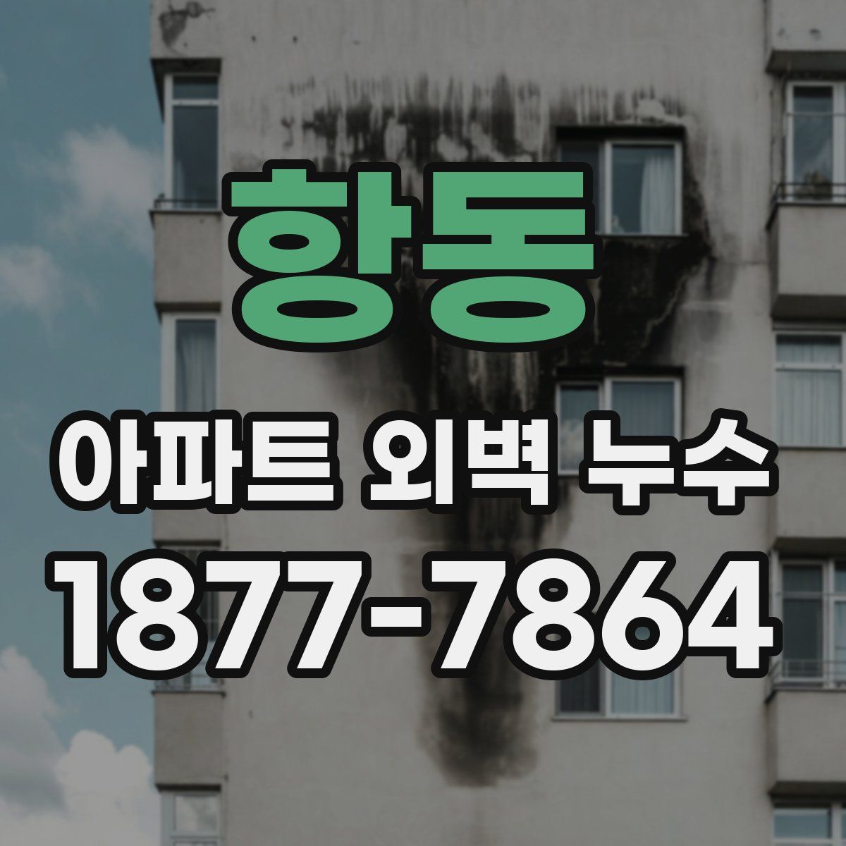 항동 아파트 외벽 누수