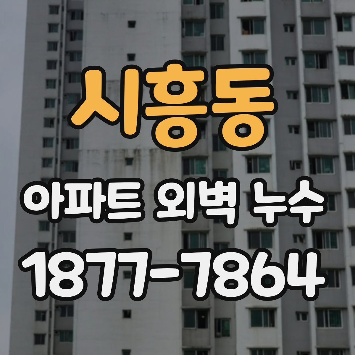 시흥동 아파트 외벽 누수