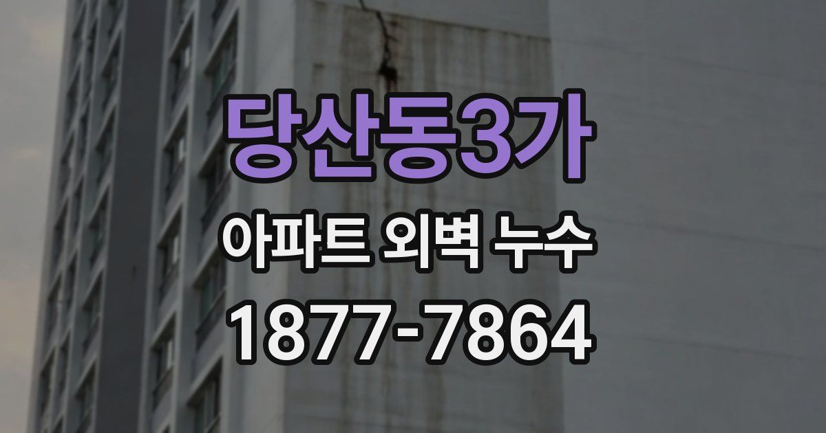 당산동3가 아파트 외벽 누수