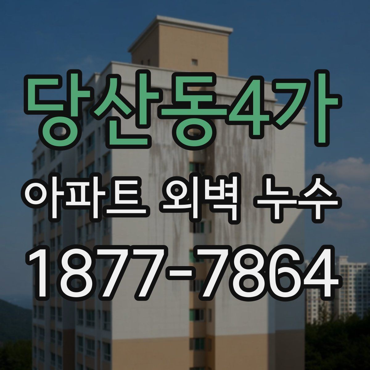 당산동4가 아파트 외벽 누수 원인별 점검 방법 정리