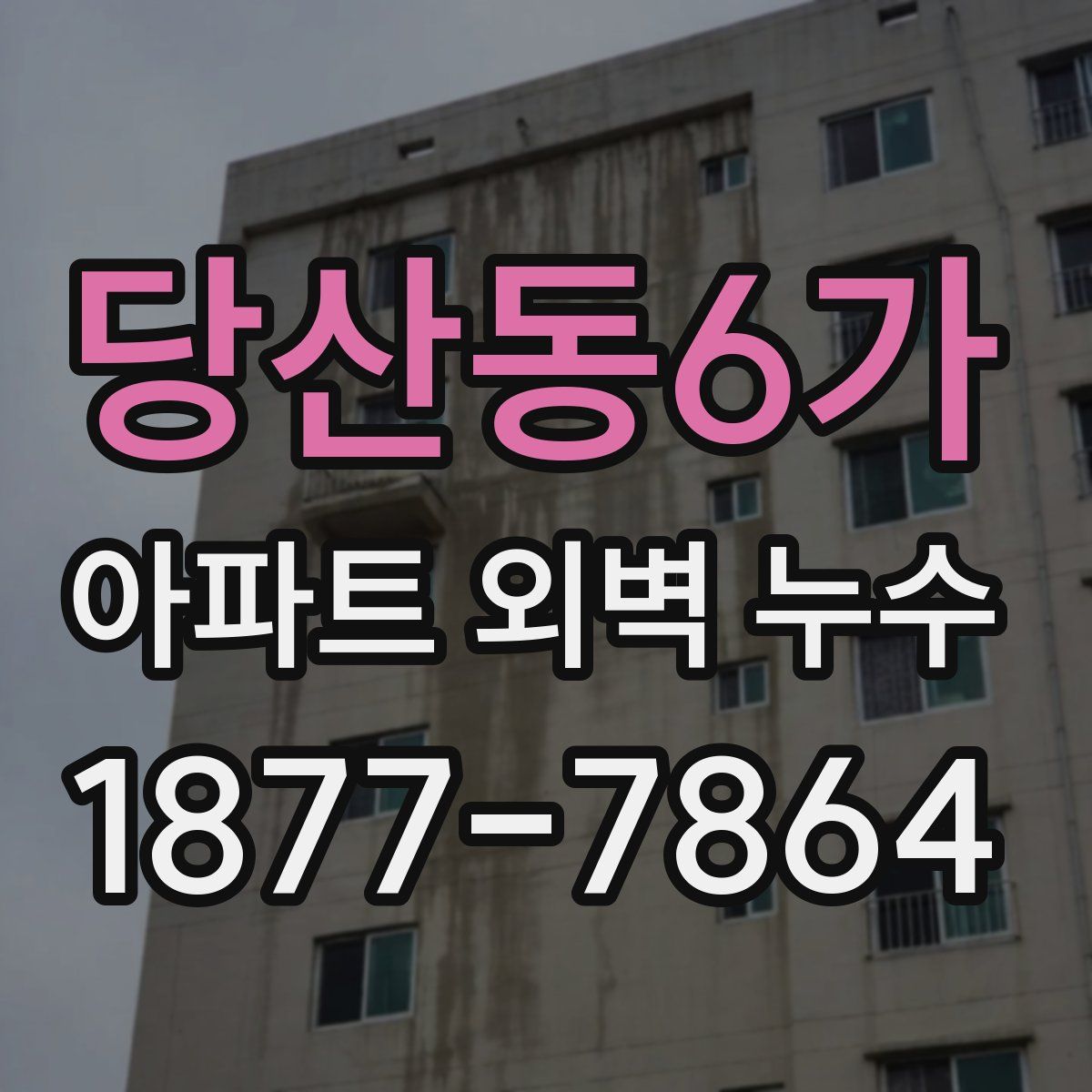 당산동6가 아파트 외벽 누수