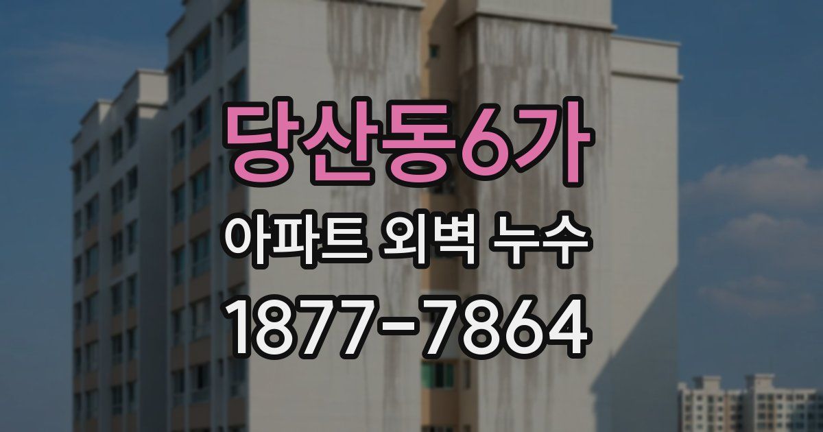 당산동6가 아파트 외벽 누수