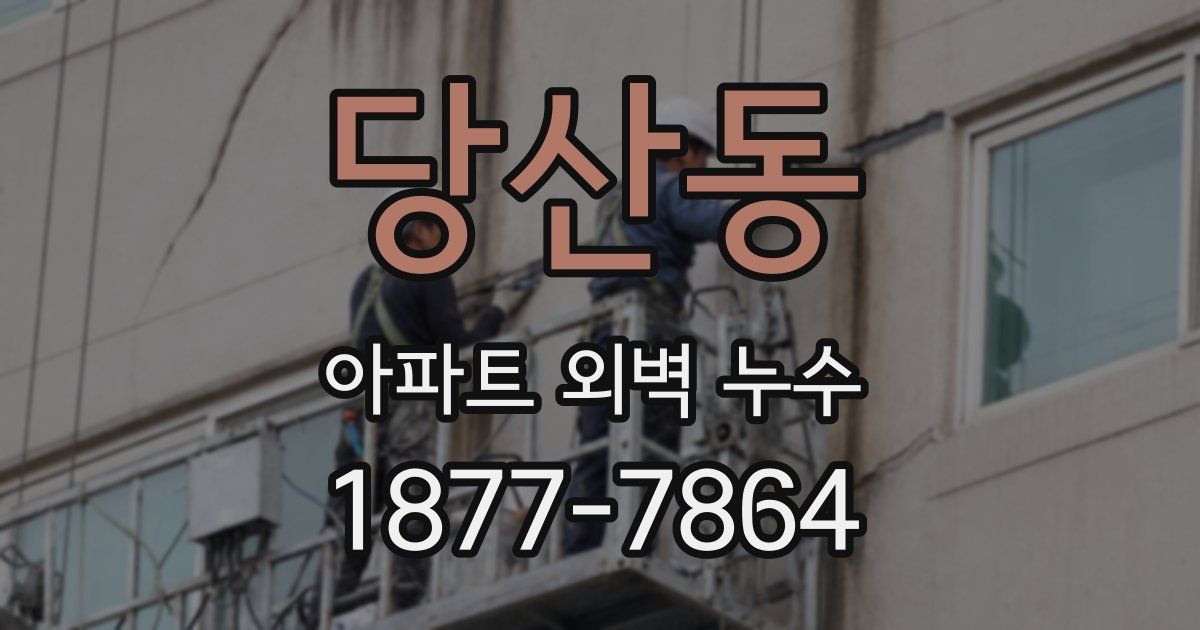 당산동 아파트 외벽 누수