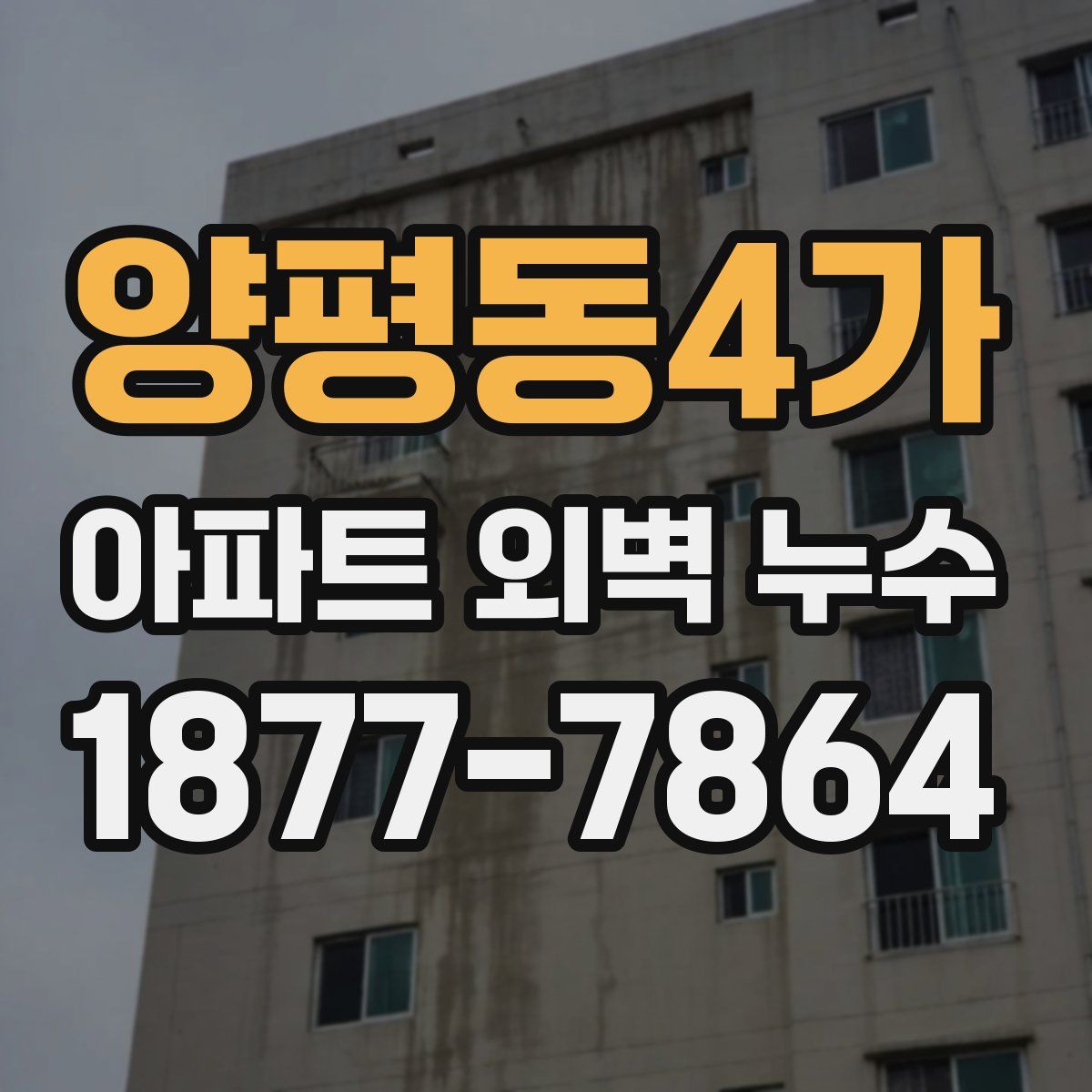 양평동4가 아파트 외벽 누수
