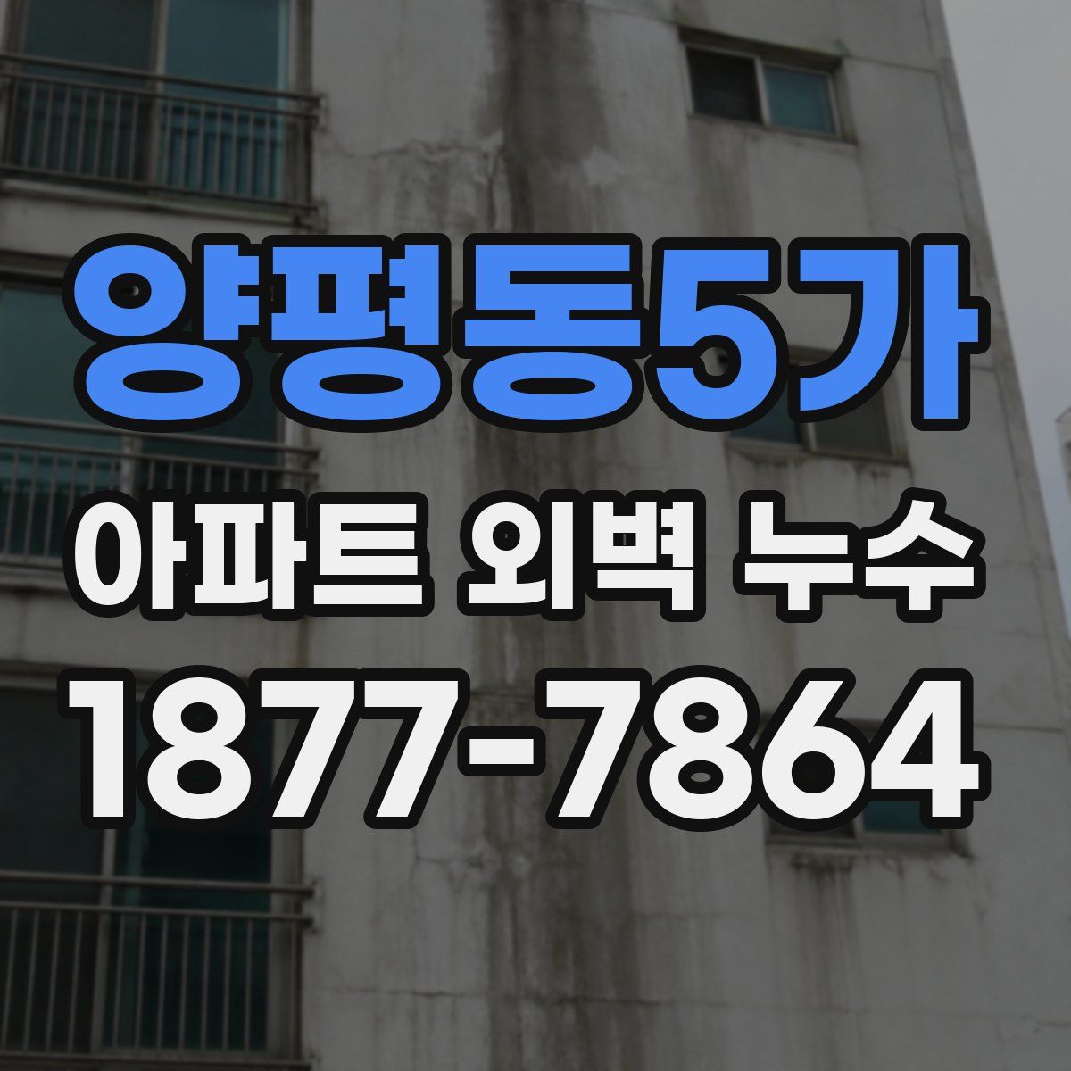 양평동5가 아파트 외벽 누수