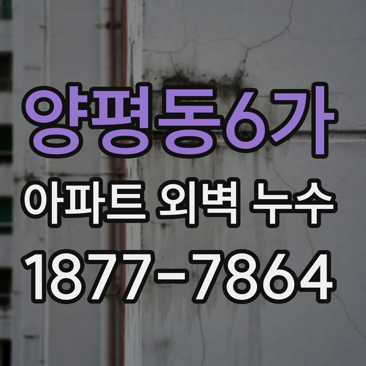 양평동6가 아파트 외벽 누수 관련 상담 시 자주 나오는 질문