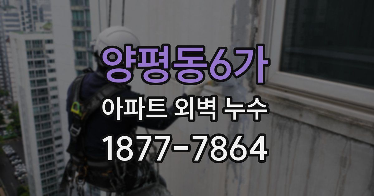 양평동6가 아파트 외벽 누수