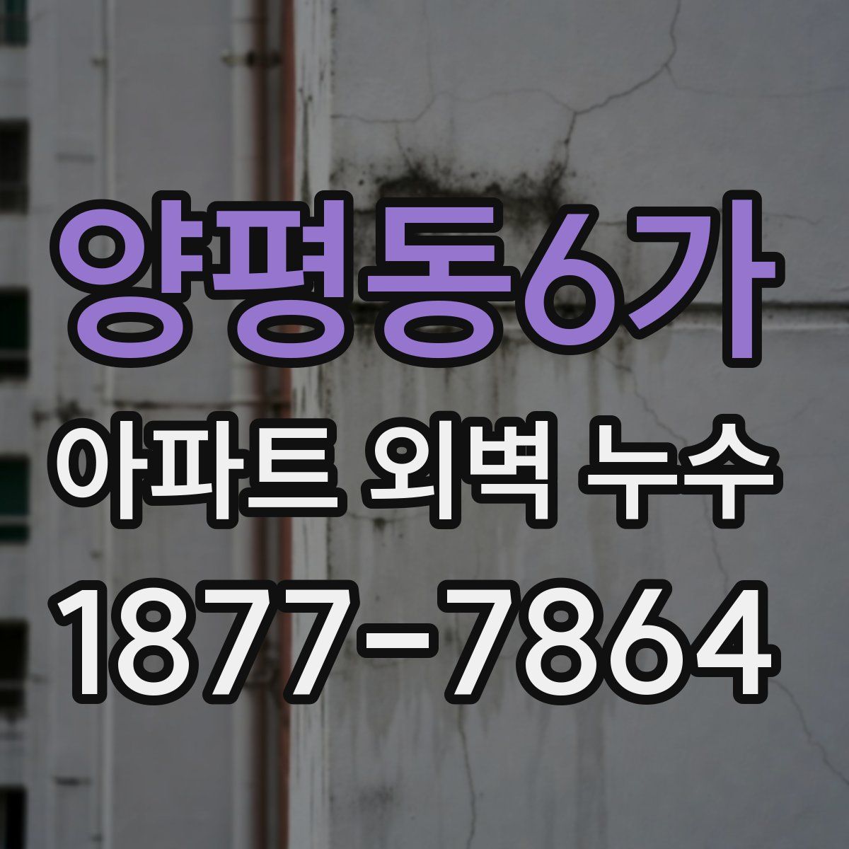 양평동6가 아파트 외벽 누수