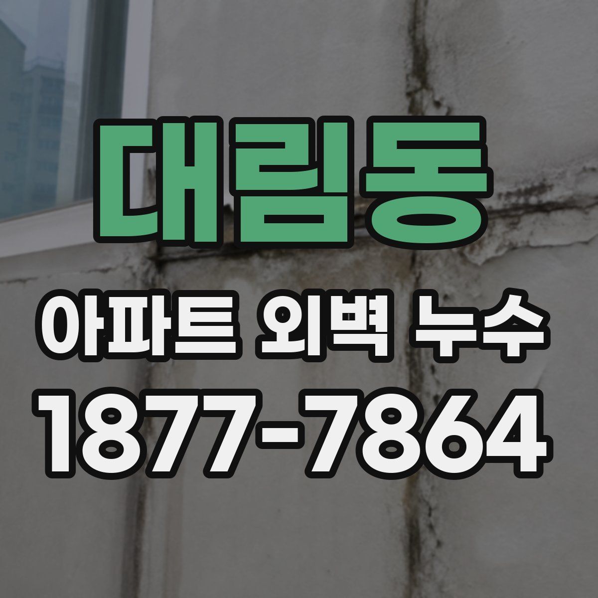 대림동 아파트 외벽 누수