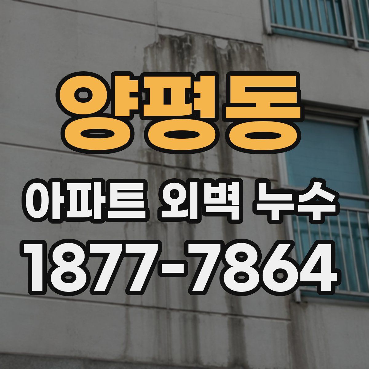양평동 아파트 외벽 누수