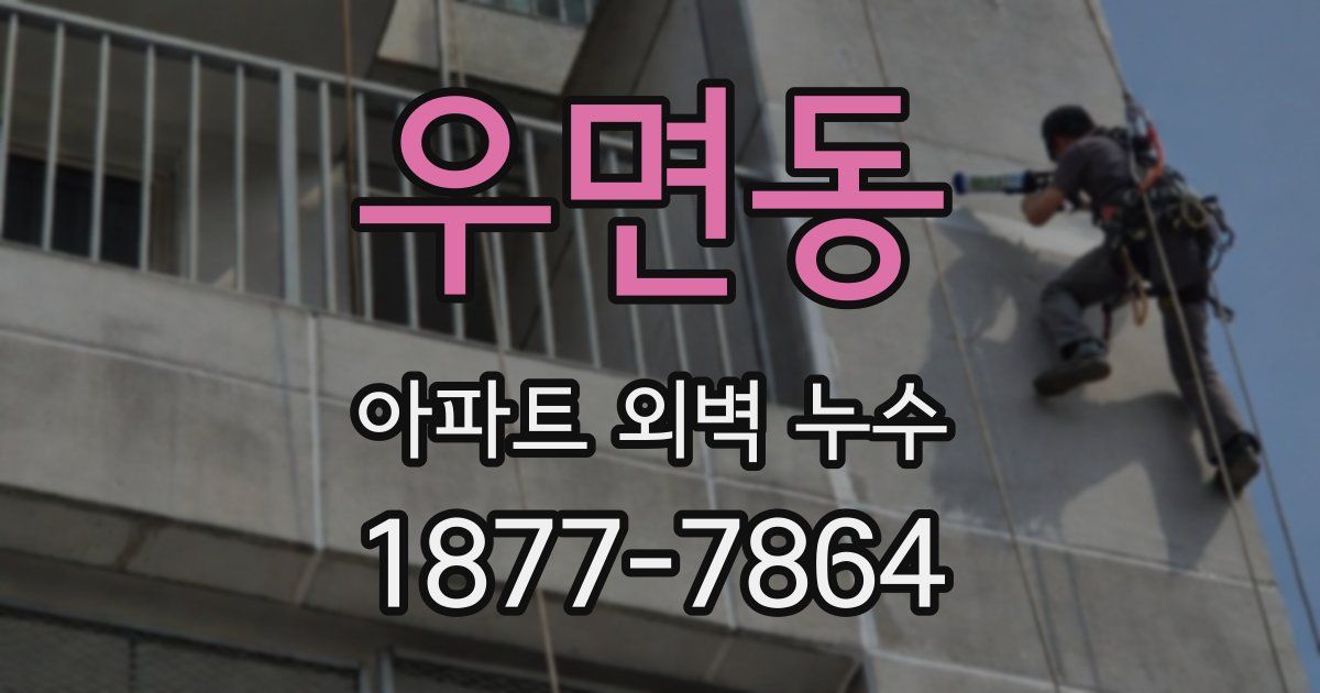 우면동 아파트 외벽 누수