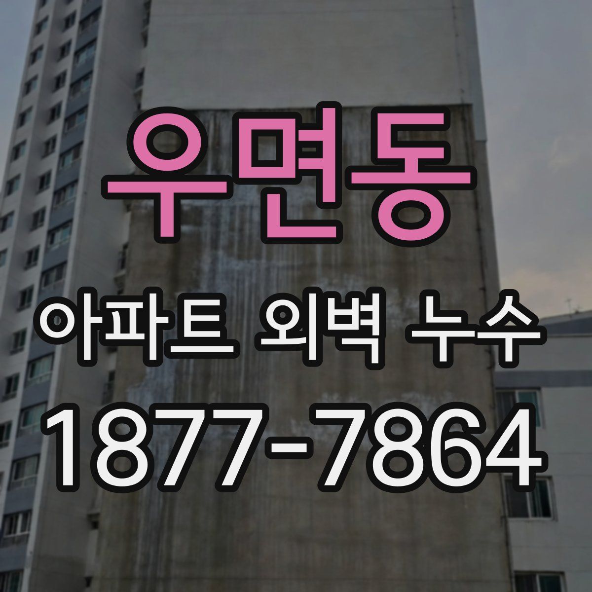 우면동 아파트 외벽 누수