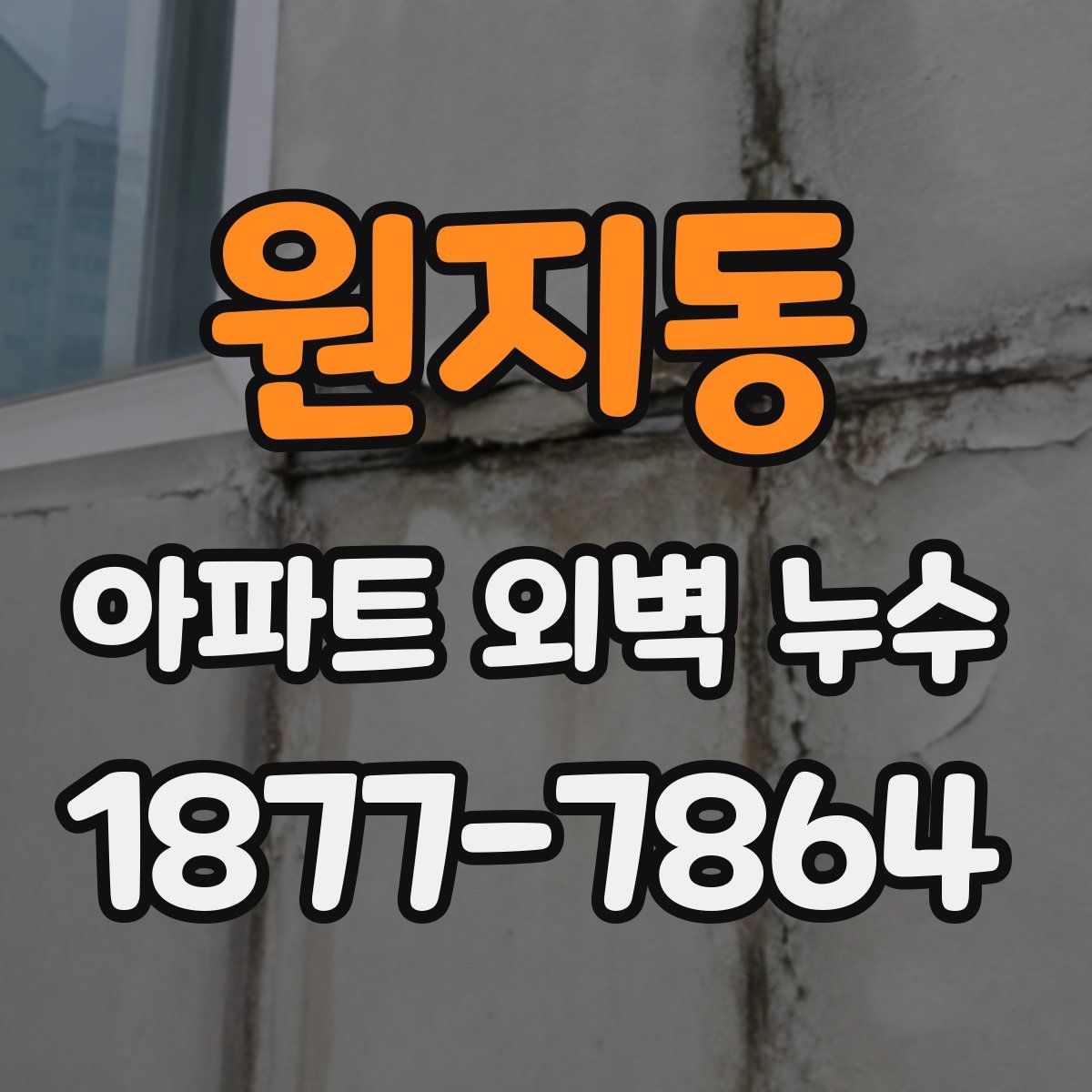 원지동 아파트 외벽 누수