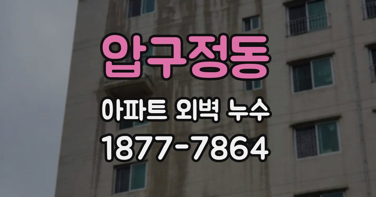 압구정동 아파트 외벽 누수