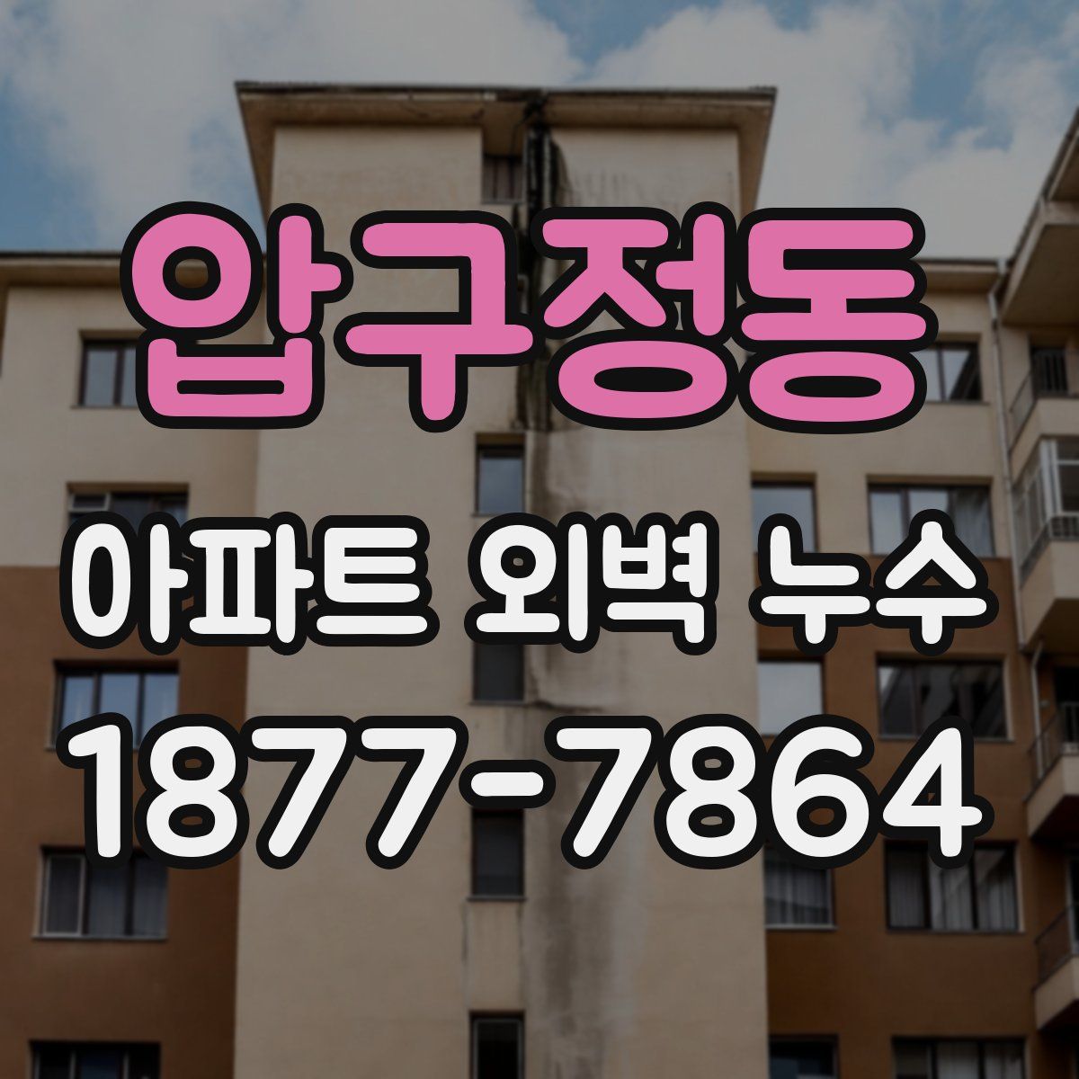 압구정동 아파트 외벽 누수