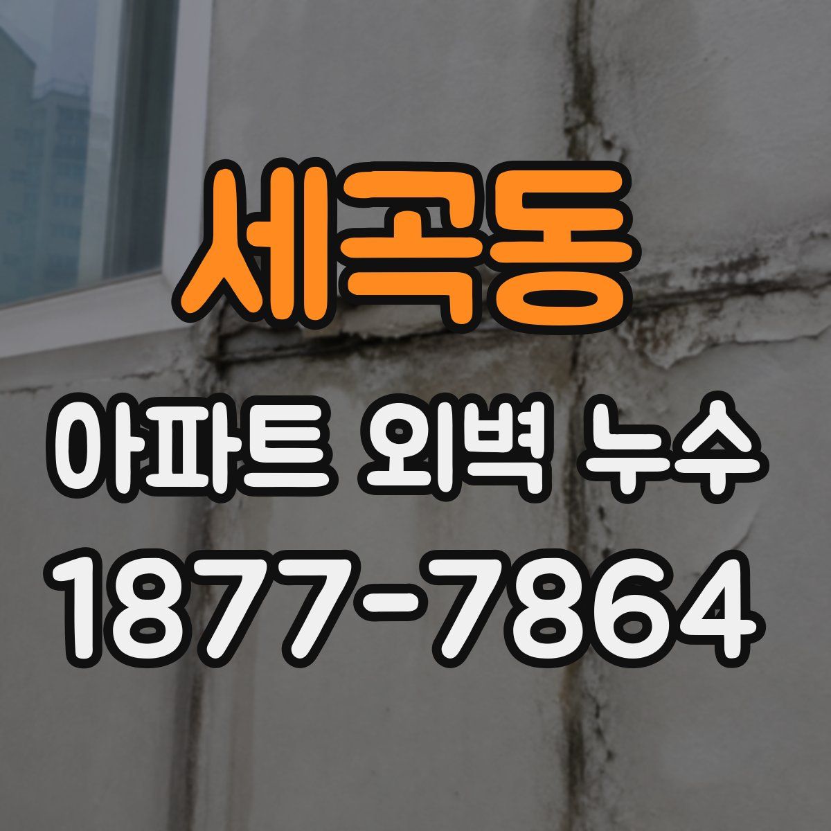 세곡동 아파트 외벽 누수