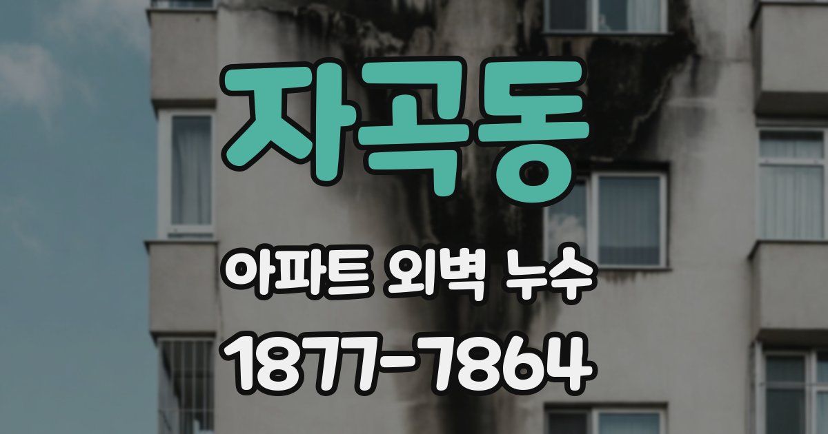 자곡동 아파트 외벽 누수
