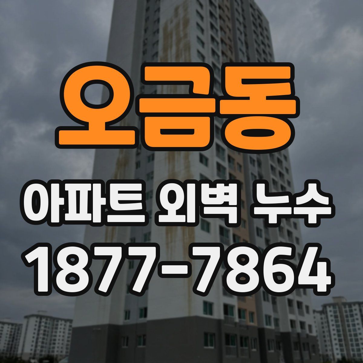오금동 아파트 외벽 누수