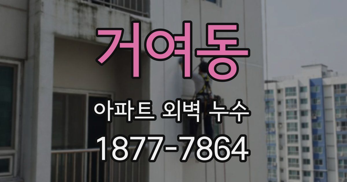 거여동 아파트 외벽 누수