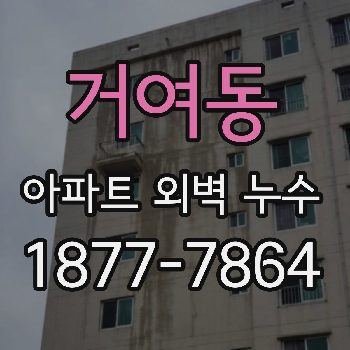 거여동 아파트 외벽 누수