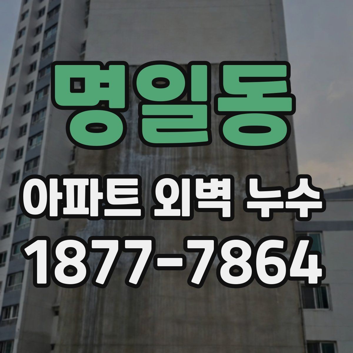명일동 아파트 외벽 누수 점검 비용이 달라지는 이유
