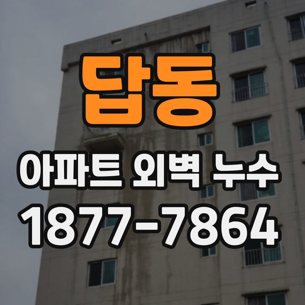 답동 아파트 외벽 누수