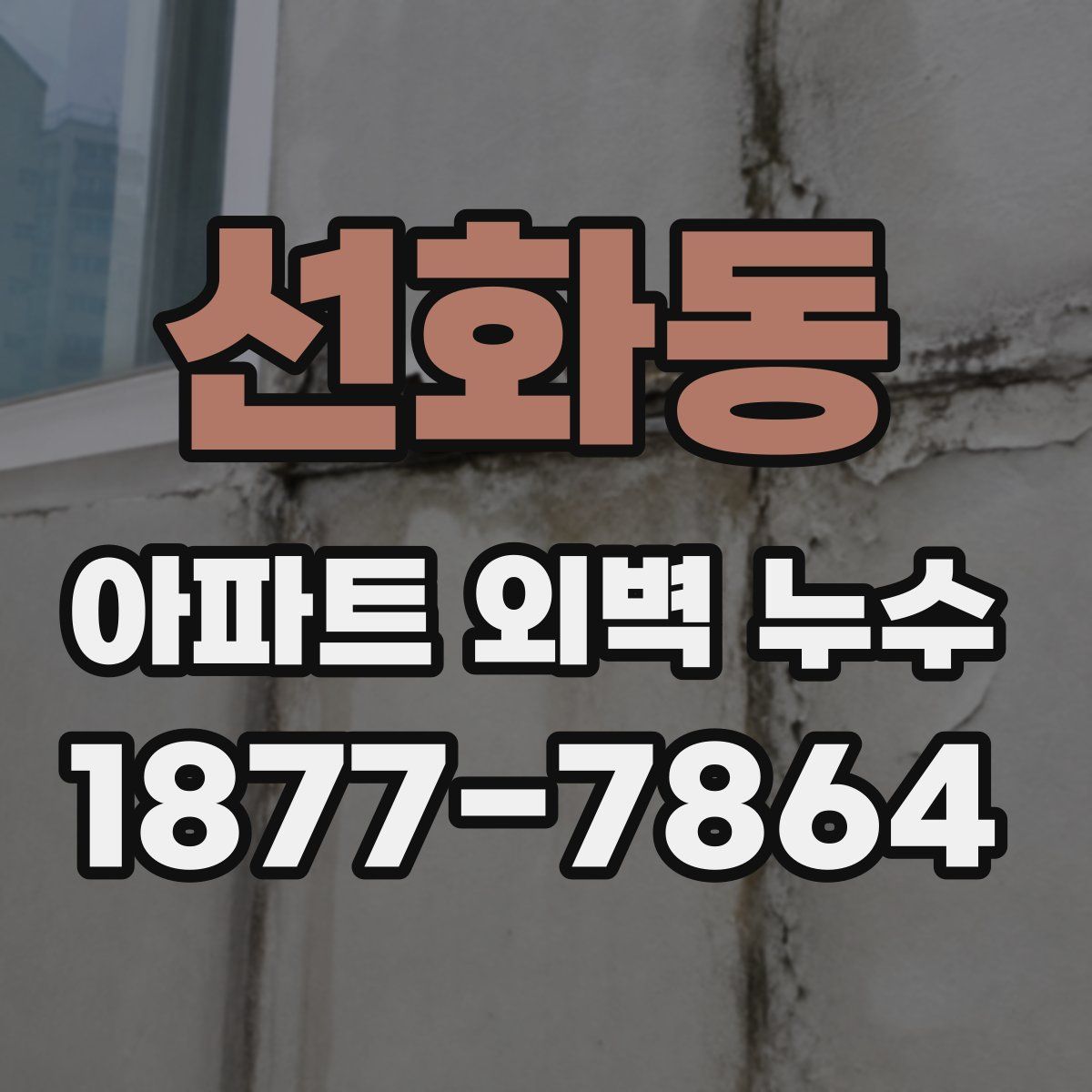 선화동 아파트 외벽 누수