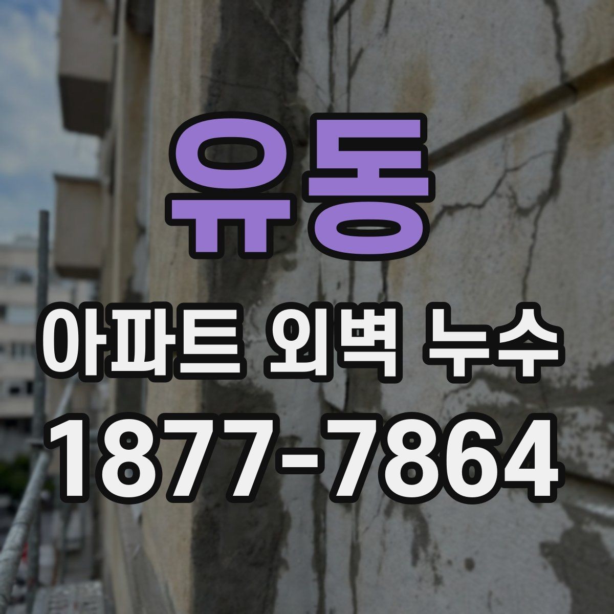 유동 아파트 외벽 누수 진단에서 자주 보는 항목