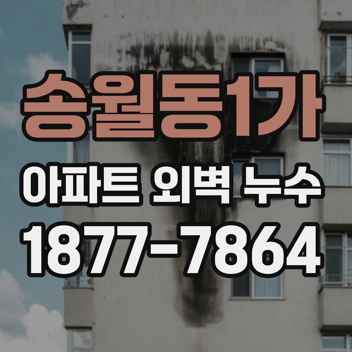송월동1가 아파트 외벽 누수
