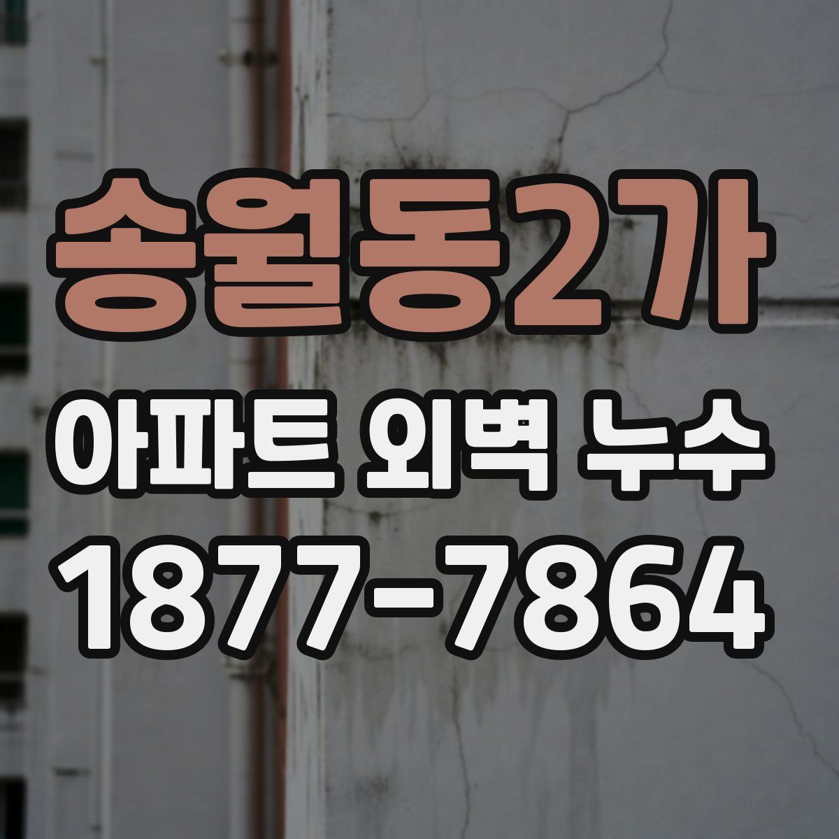 송월동2가 아파트 외벽 누수