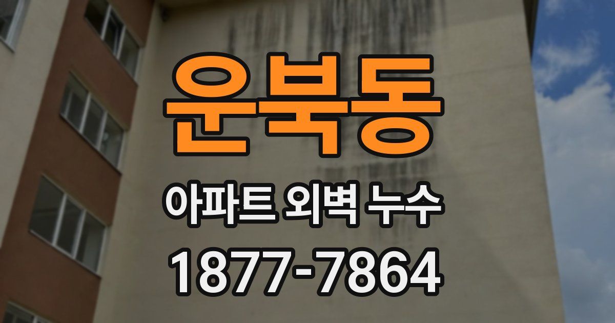 운북동 아파트 외벽 누수