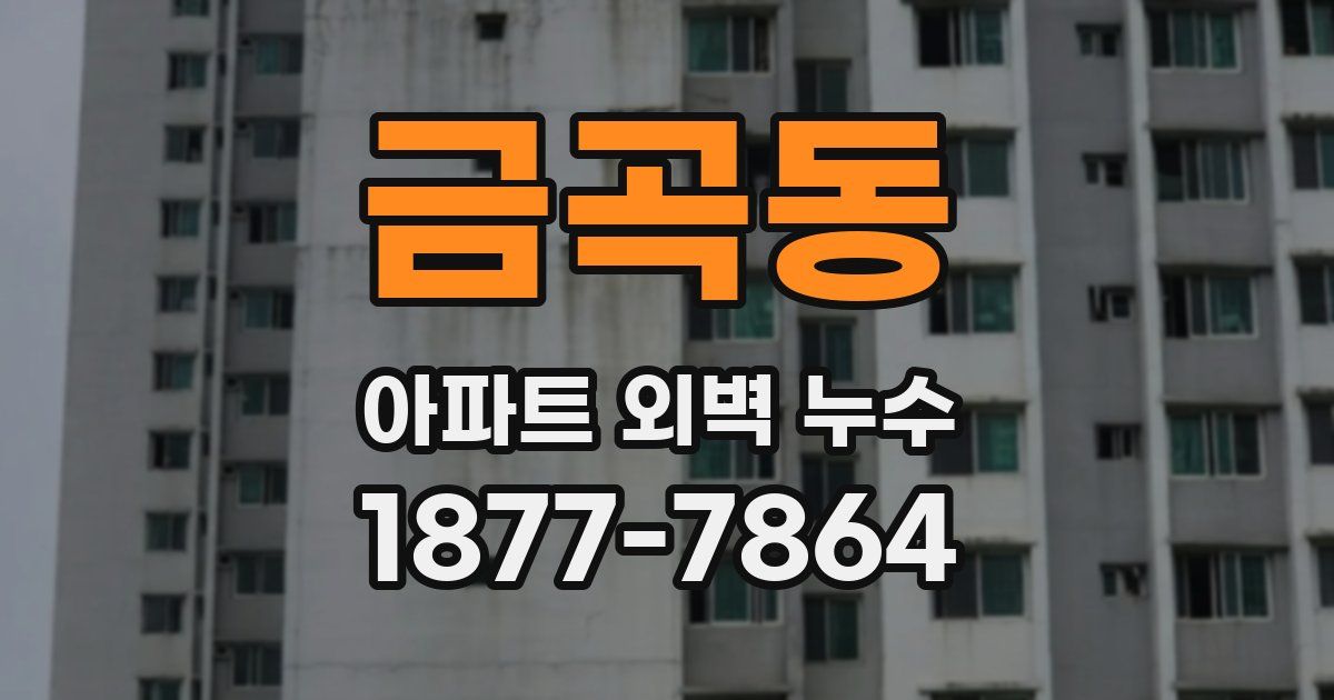 금곡동 아파트 외벽 누수