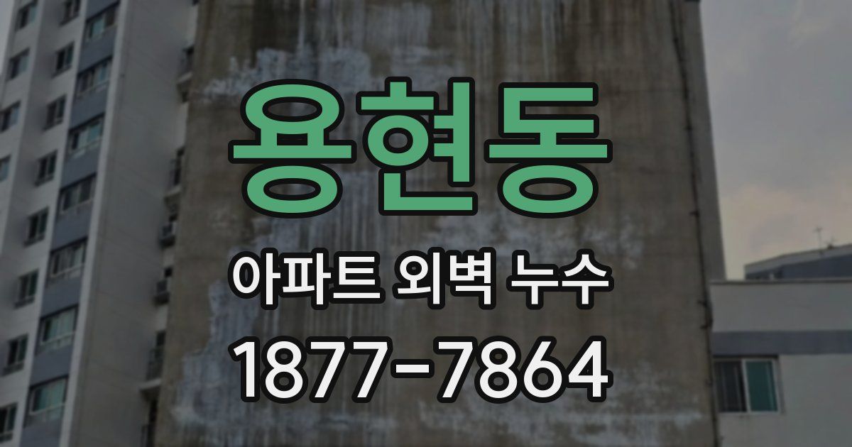 용현동 아파트 외벽 누수