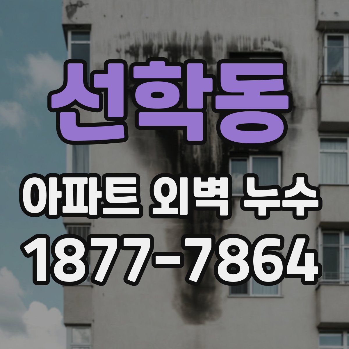 선학동 아파트 외벽 누수