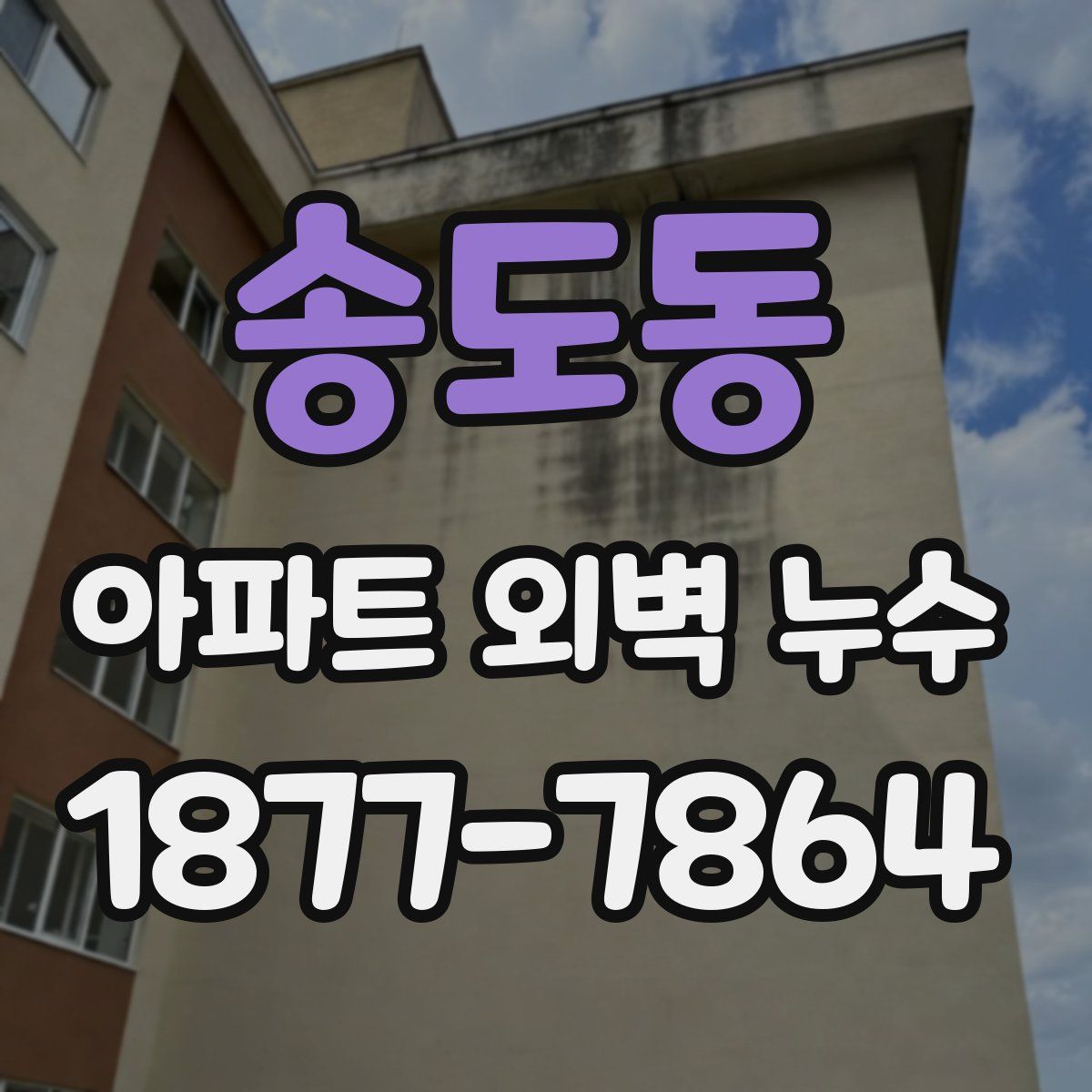 송도동 아파트 외벽 누수