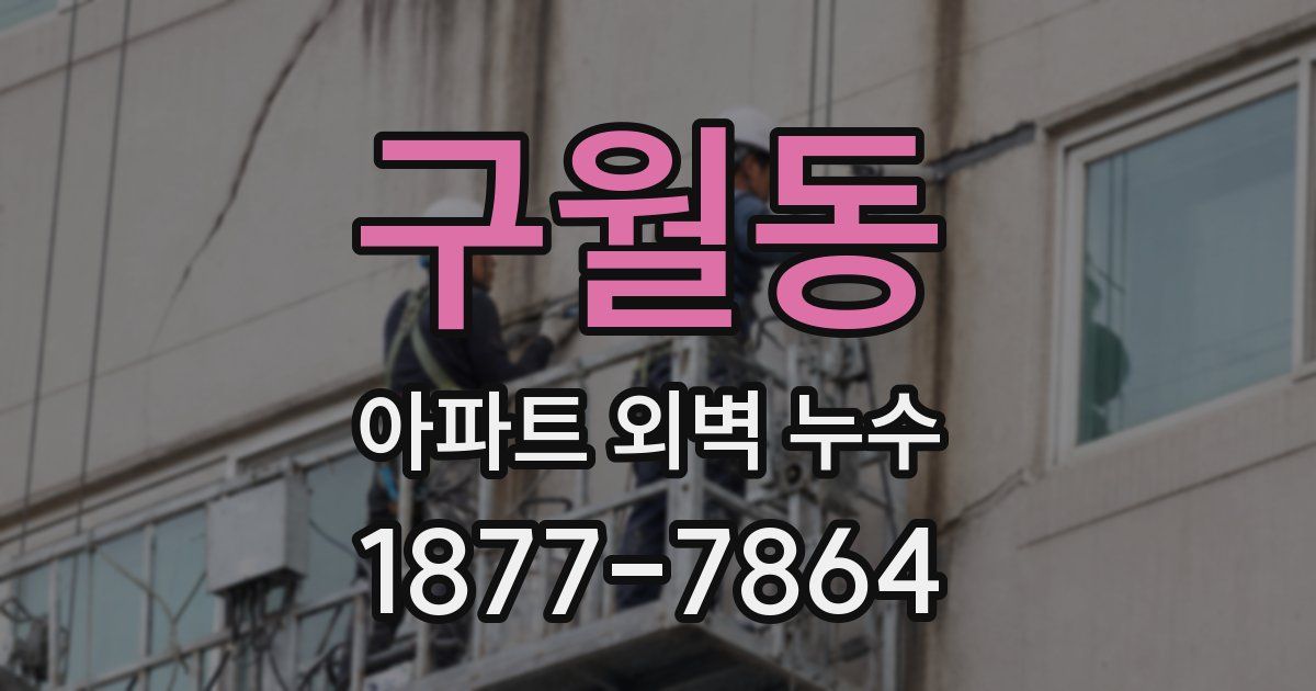 구월동 아파트 외벽 누수
