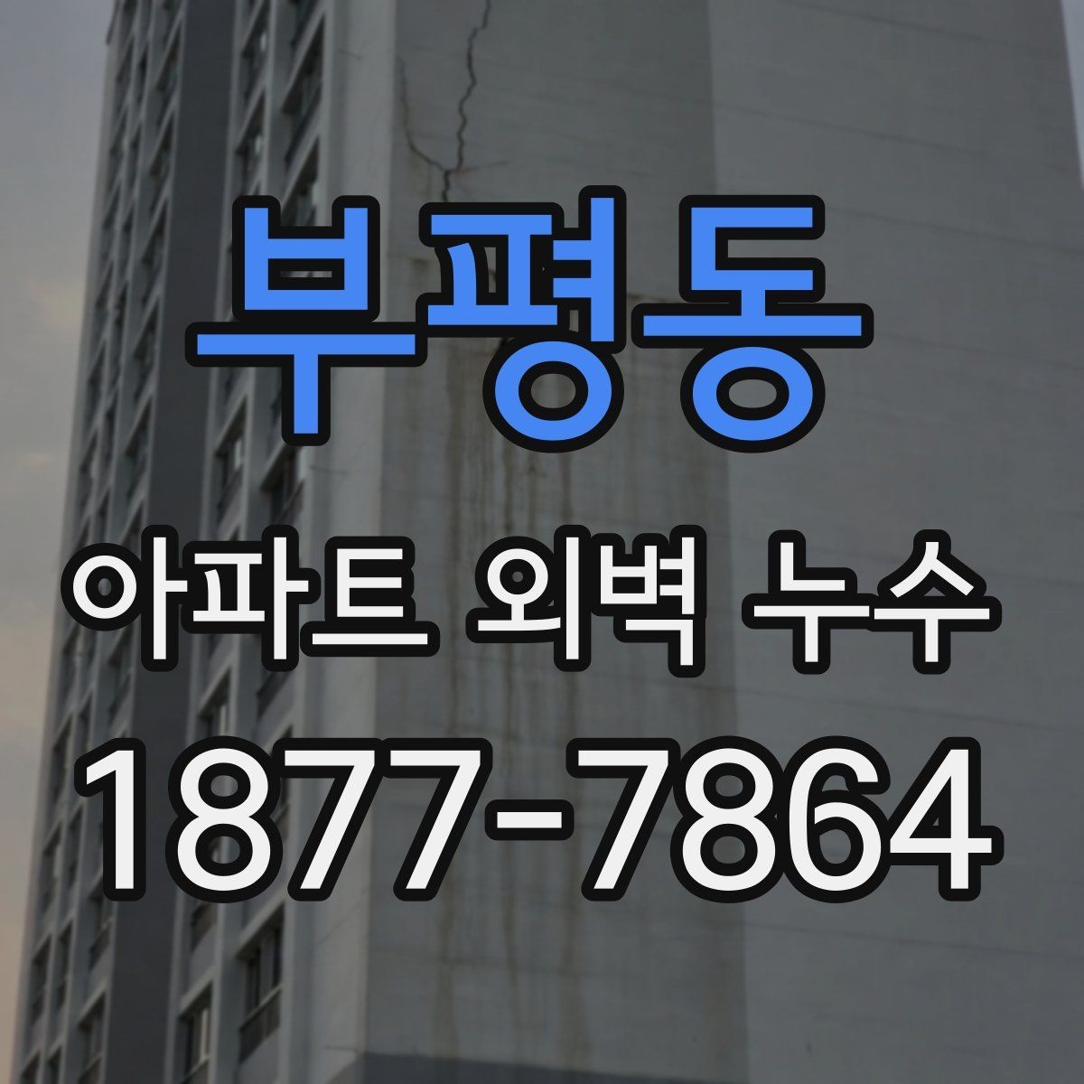 부평동 아파트 외벽 누수 실내 증상으로 확인하기